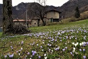 81 Scesi dal Ronco a Vettarola (974 m)